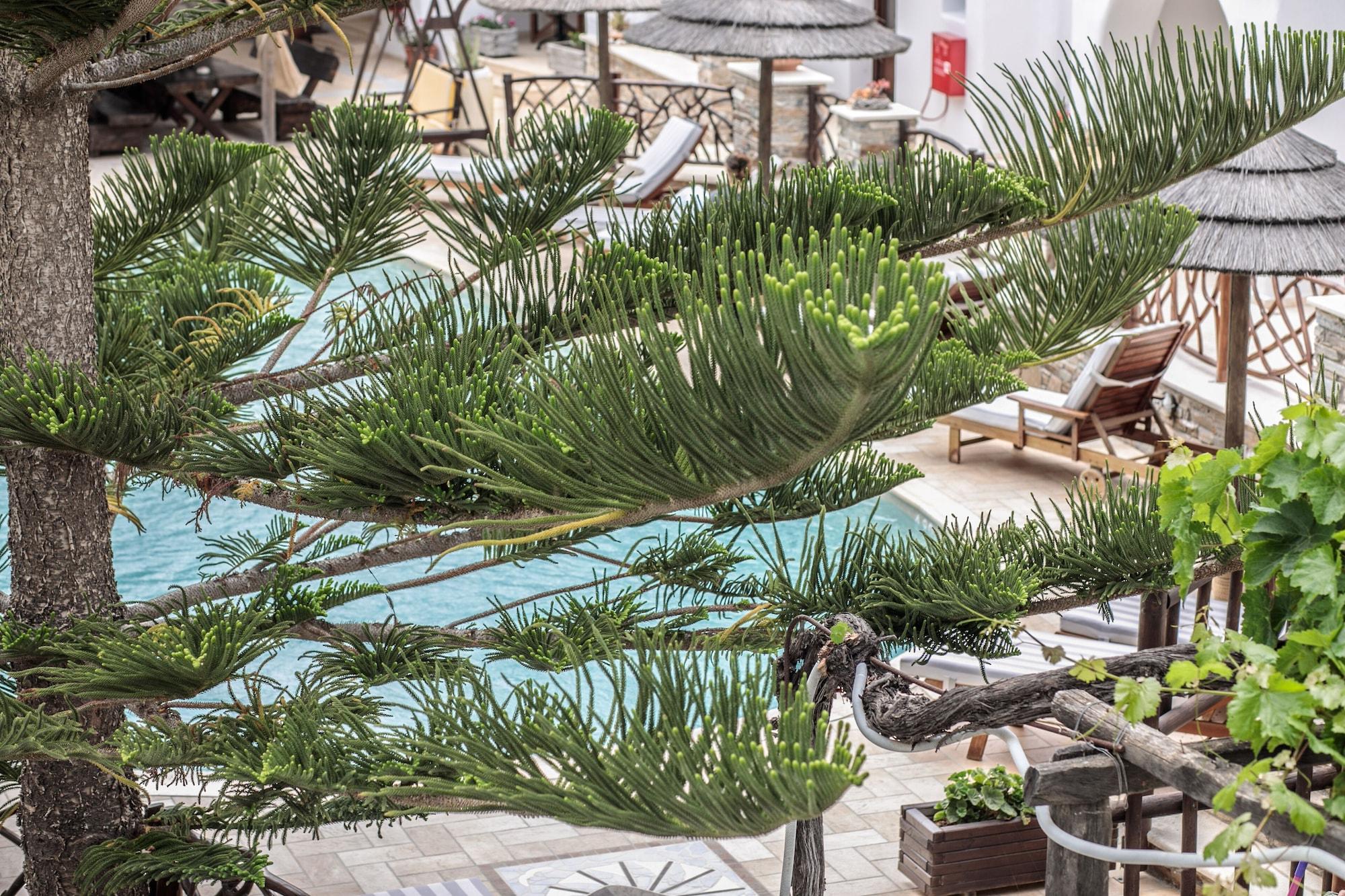 Agia Anna  Anemomilos Beach Hotel מראה חיצוני תמונה